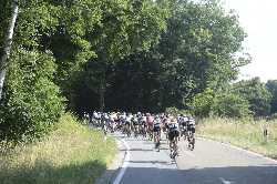 Deutsche Meisterschaft 2018 Radsport Frauen Strasse in EInhausen