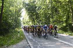 Deutsche Meisterschaft 2018 Radsport Frauen Strasse in EInhausen