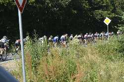 Deutsche Meisterschaft 2018 Radsport Frauen Strasse in EInhausen