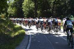 Deutsche Meisterschaft Radsport Männer Strasse in EInhausen