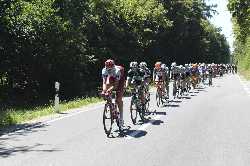 Deutsche Meisterschaft Radsport Männer Strasse in EInhausen